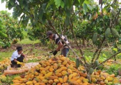 FamaGaia Sociobioeconomia FIDC IS – Relatório de Gestão 1º tri 2025