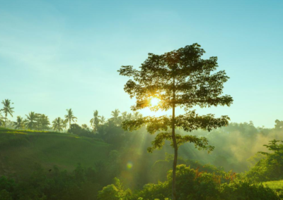 Fama ESG Equities FIA – Relatório de Gestão 1º tri 2025