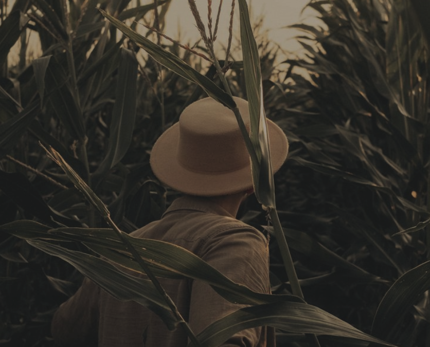 Fama LatAm Climate Turnaround FIA IS – Relatório de Gestão 3º tri 2025