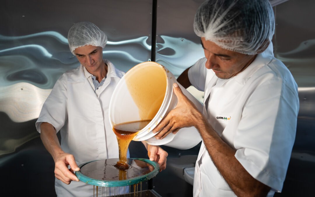 FamaGaia Sociobioeconomia FIDC IS – Relatório de Gestão 2º tri 2025