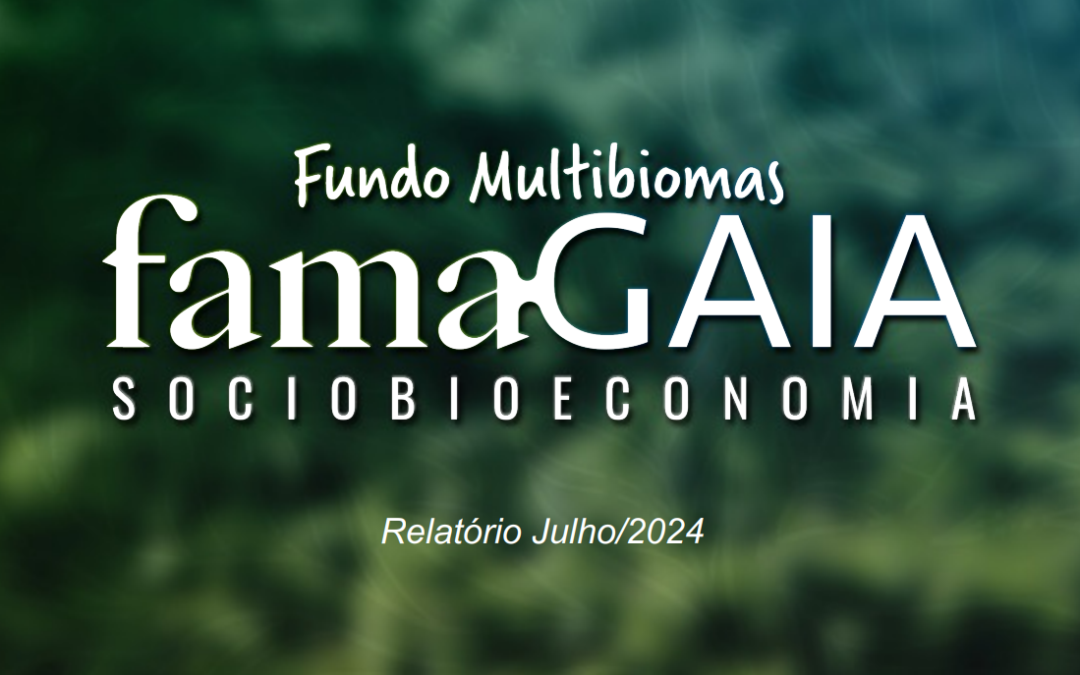 FamaGaia Sociobioeconomia FIDC IS – Relatório de Gestão 2º tri 2024